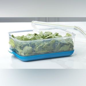 Princess House Medium Produce Saver